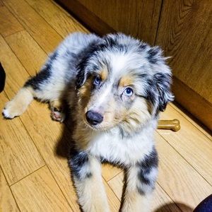 Meet your Posher, Mayela